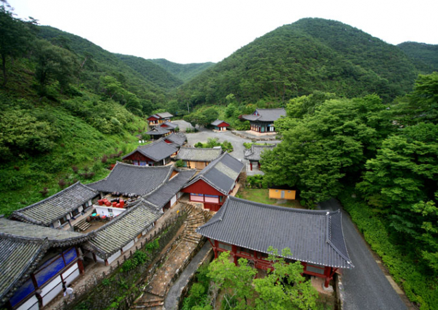 고운사(템플스테이)