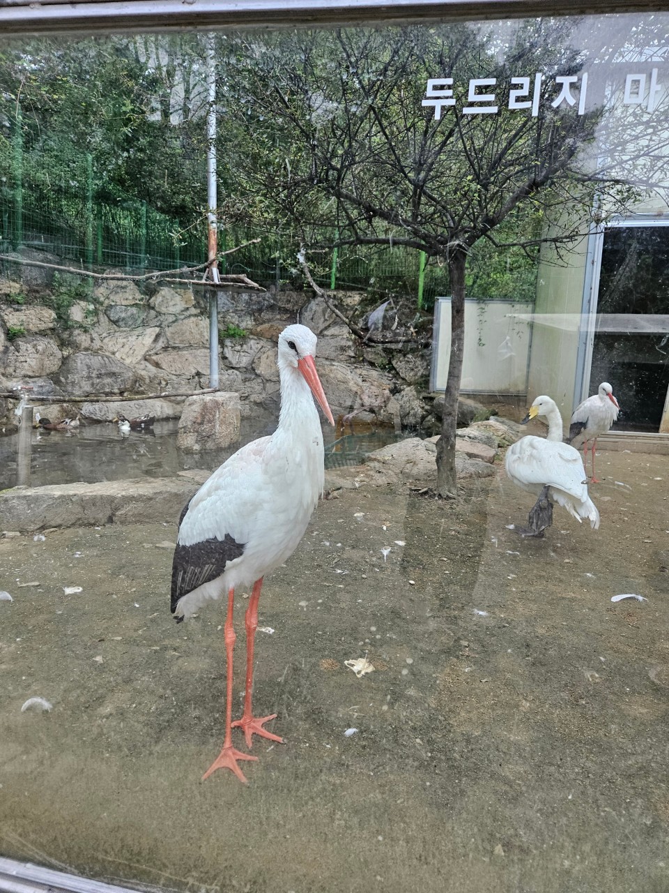 쥬쥬동산