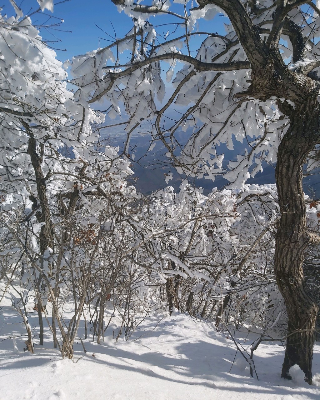 황악산