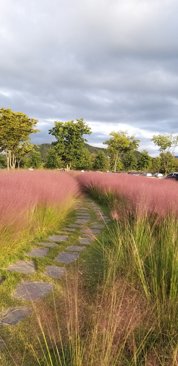 낙동강체육공원