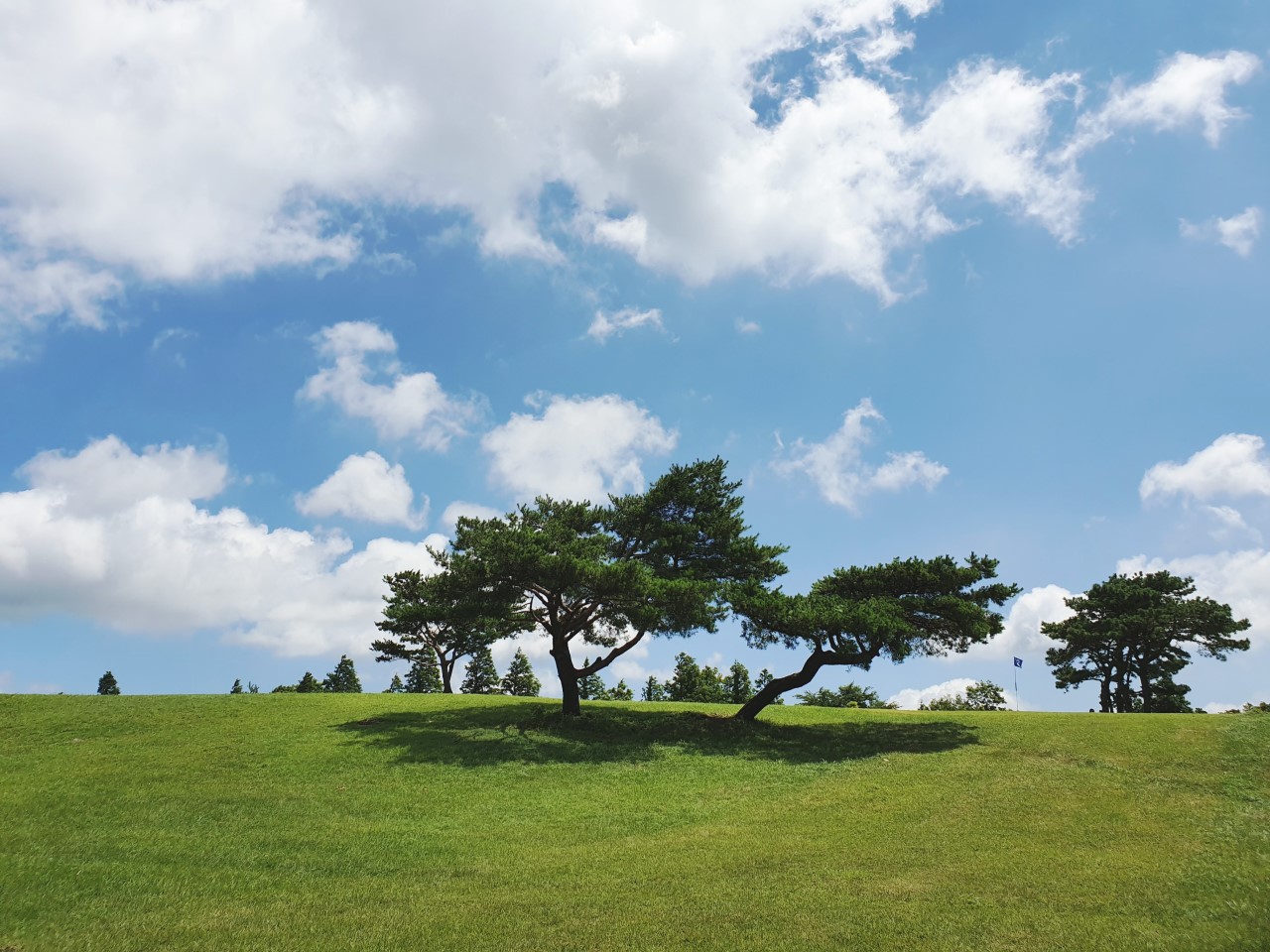 화랑의 언덕