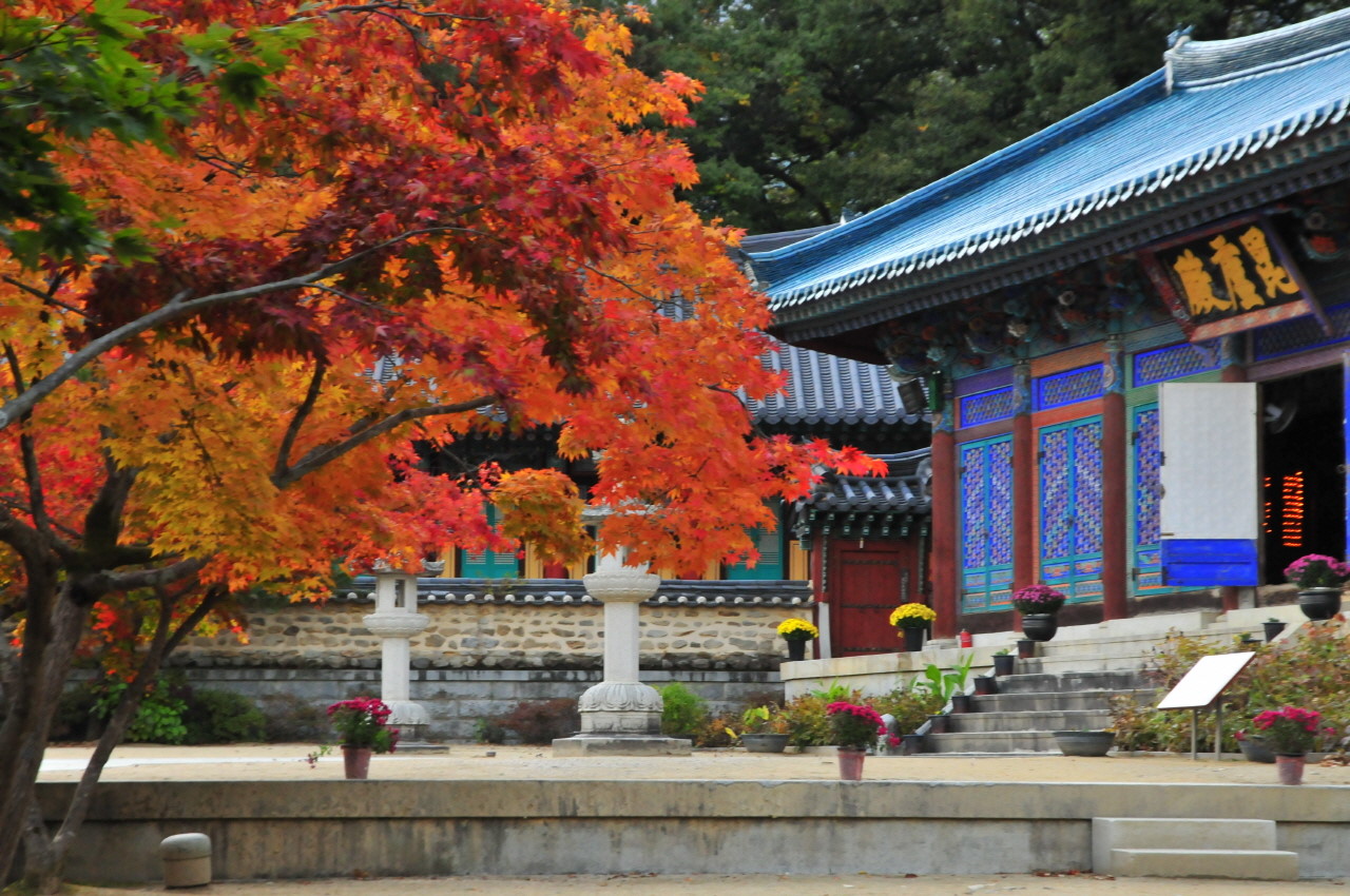 직지사
